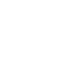 Haas F1 Team